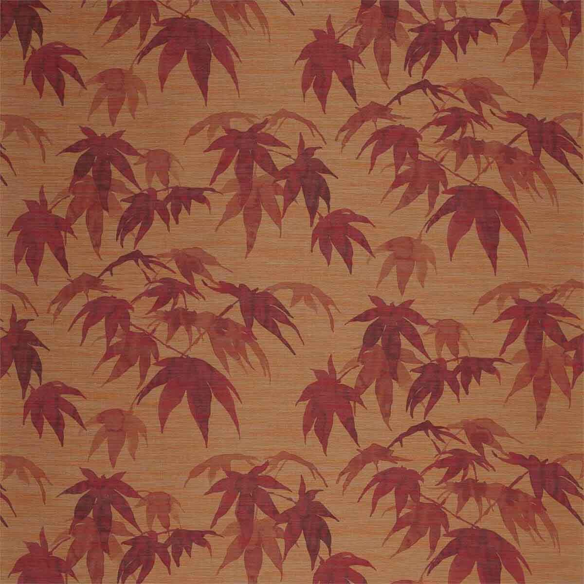 Acer 312496