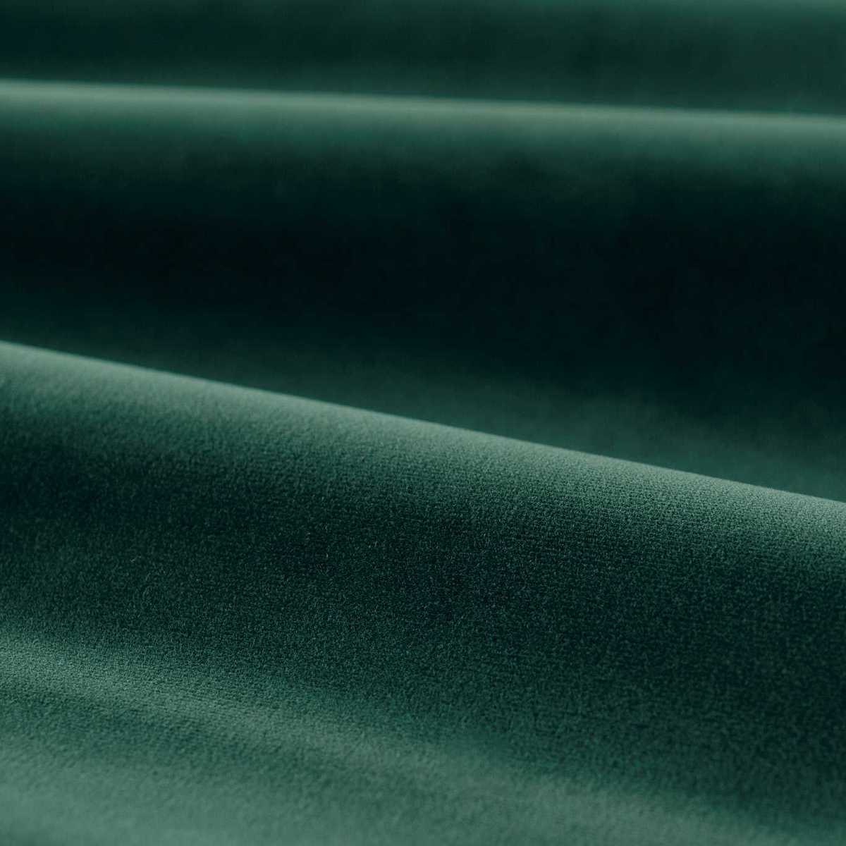 Cotton Velvet Performance 333454