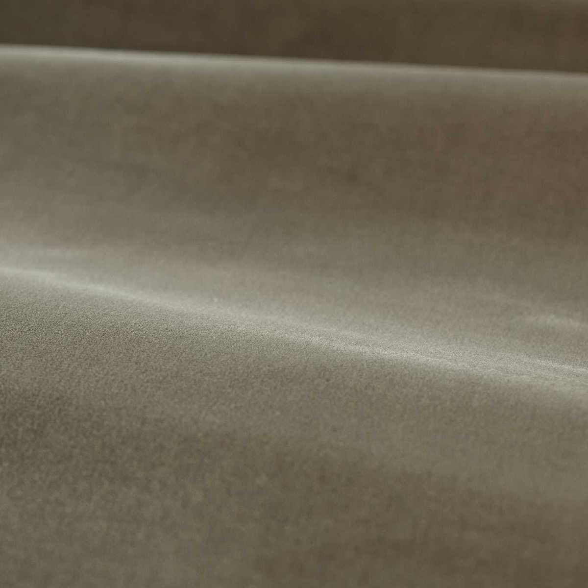 Cotton Velvet Performance 333499