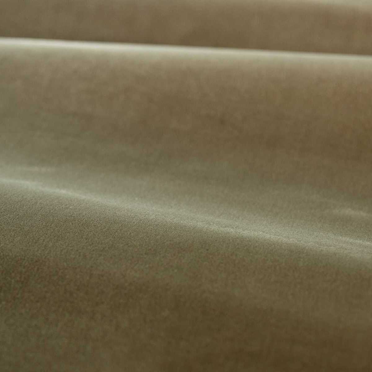 Cotton Velvet Performance 333510