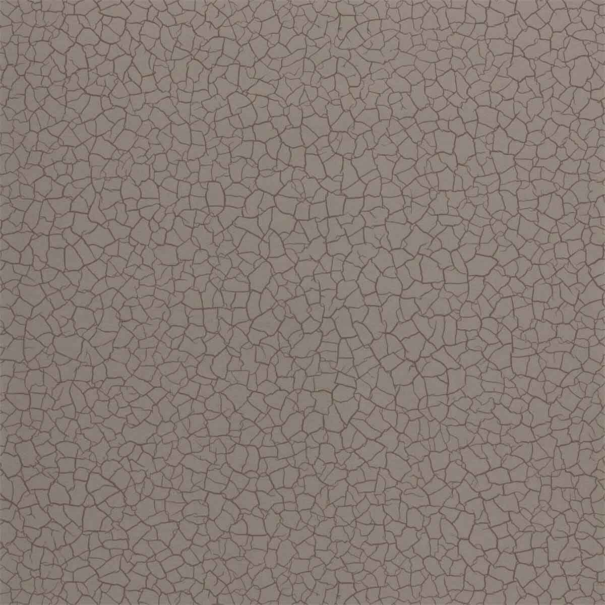 Cracked Earth 312527