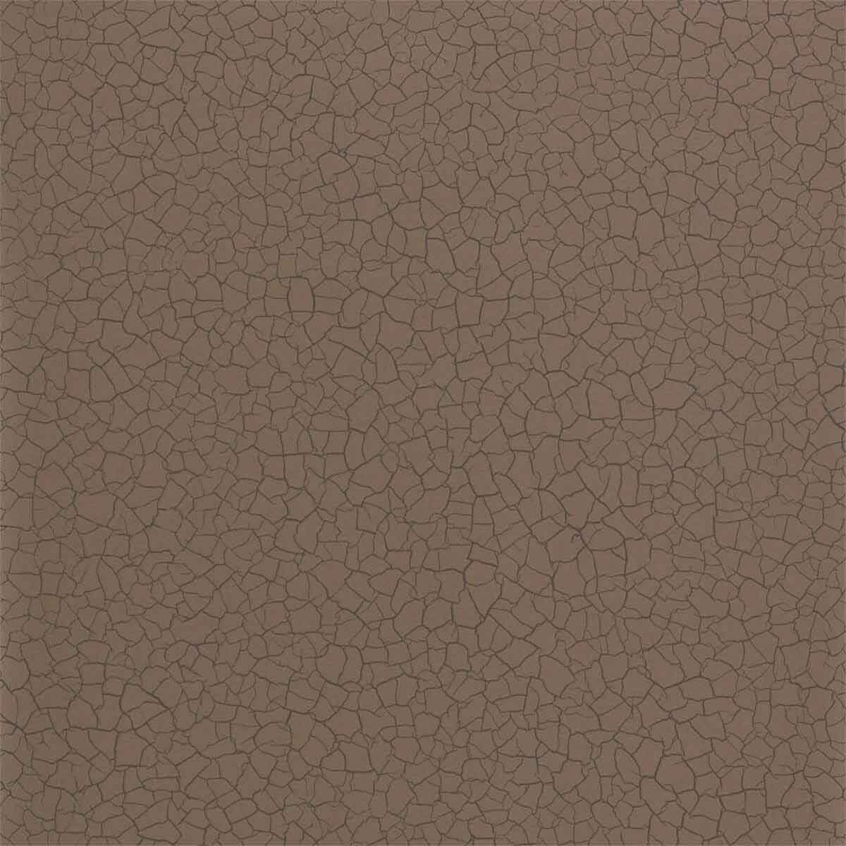 Cracked Earth 312529