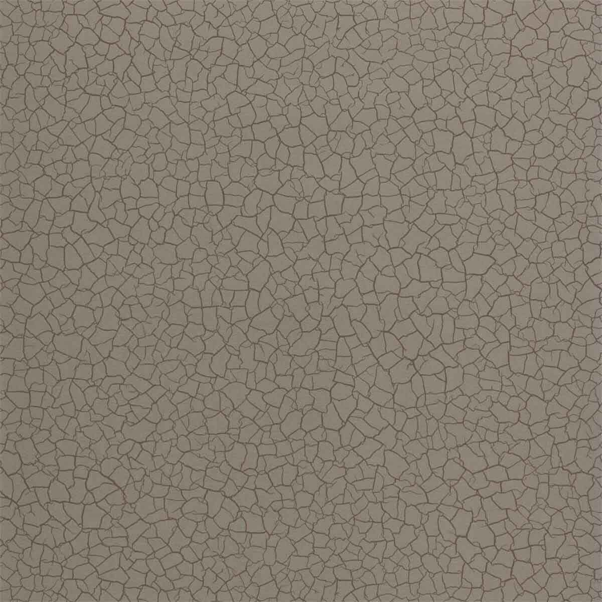 Cracked Earth 312834