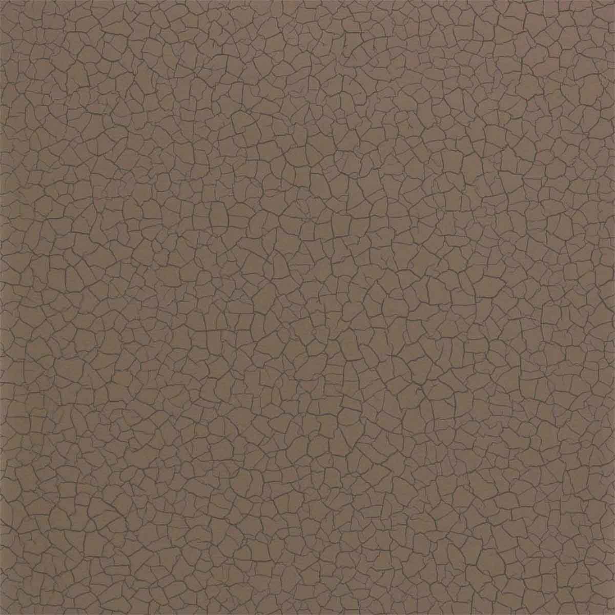 Cracked Earth 312836