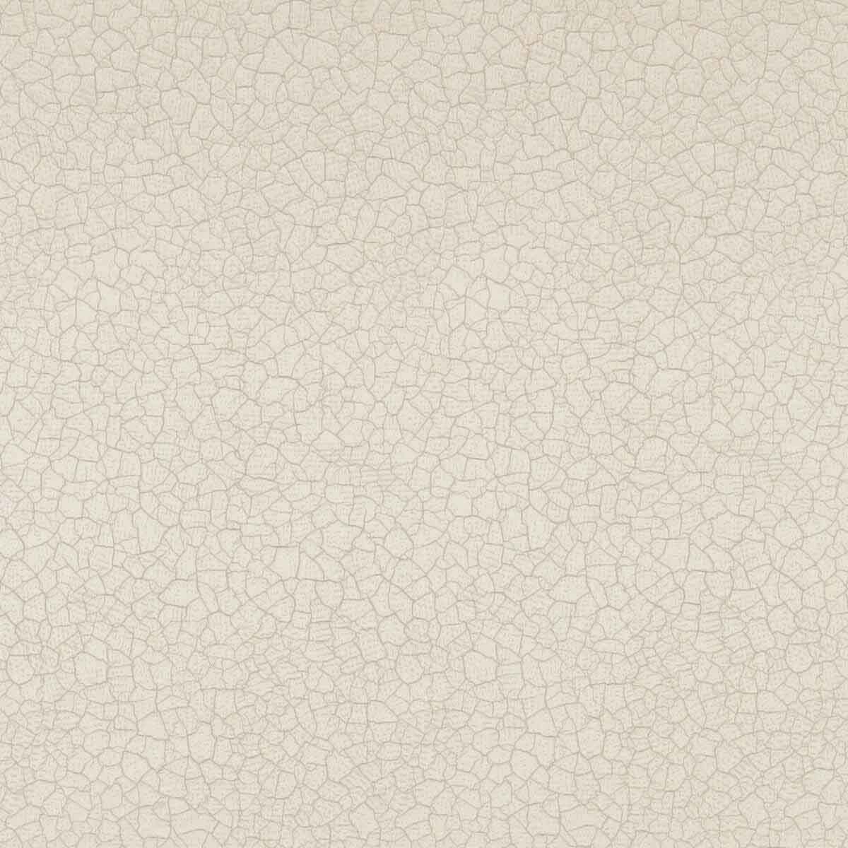 Crackle 331961