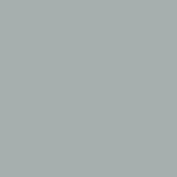 Double La Seine Paint