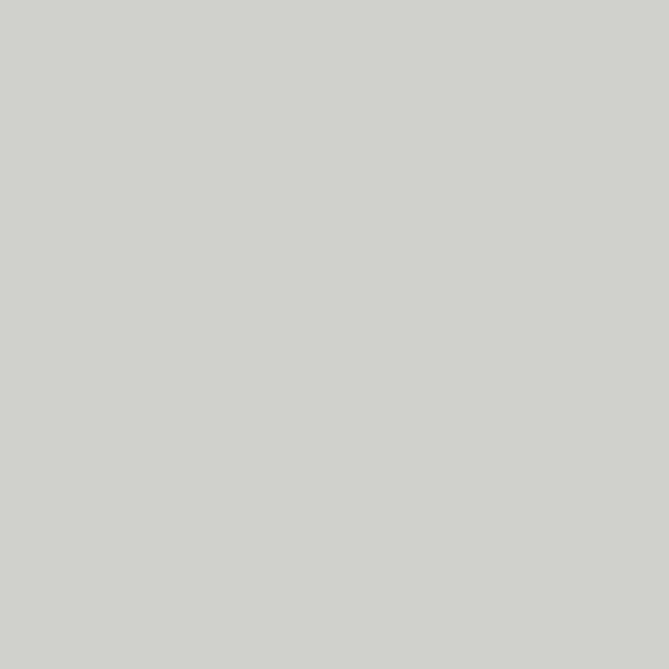 Flint Grey Paint
