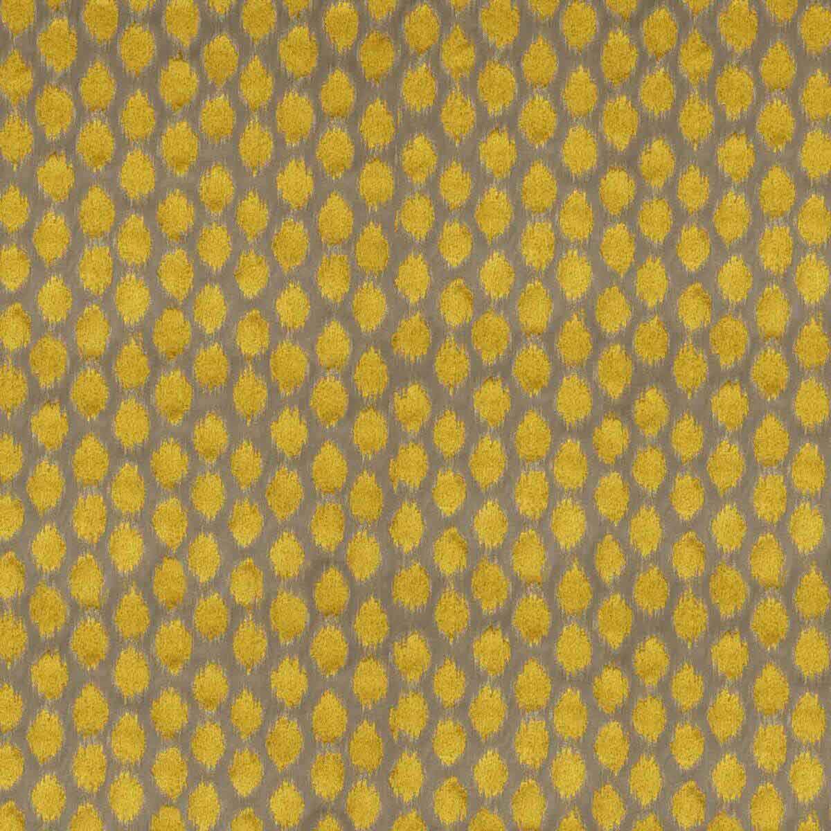 Ikat Spot 333254