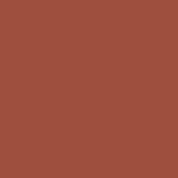 Koi Carp Paint