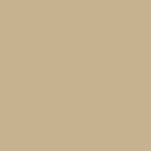 Manila Paint