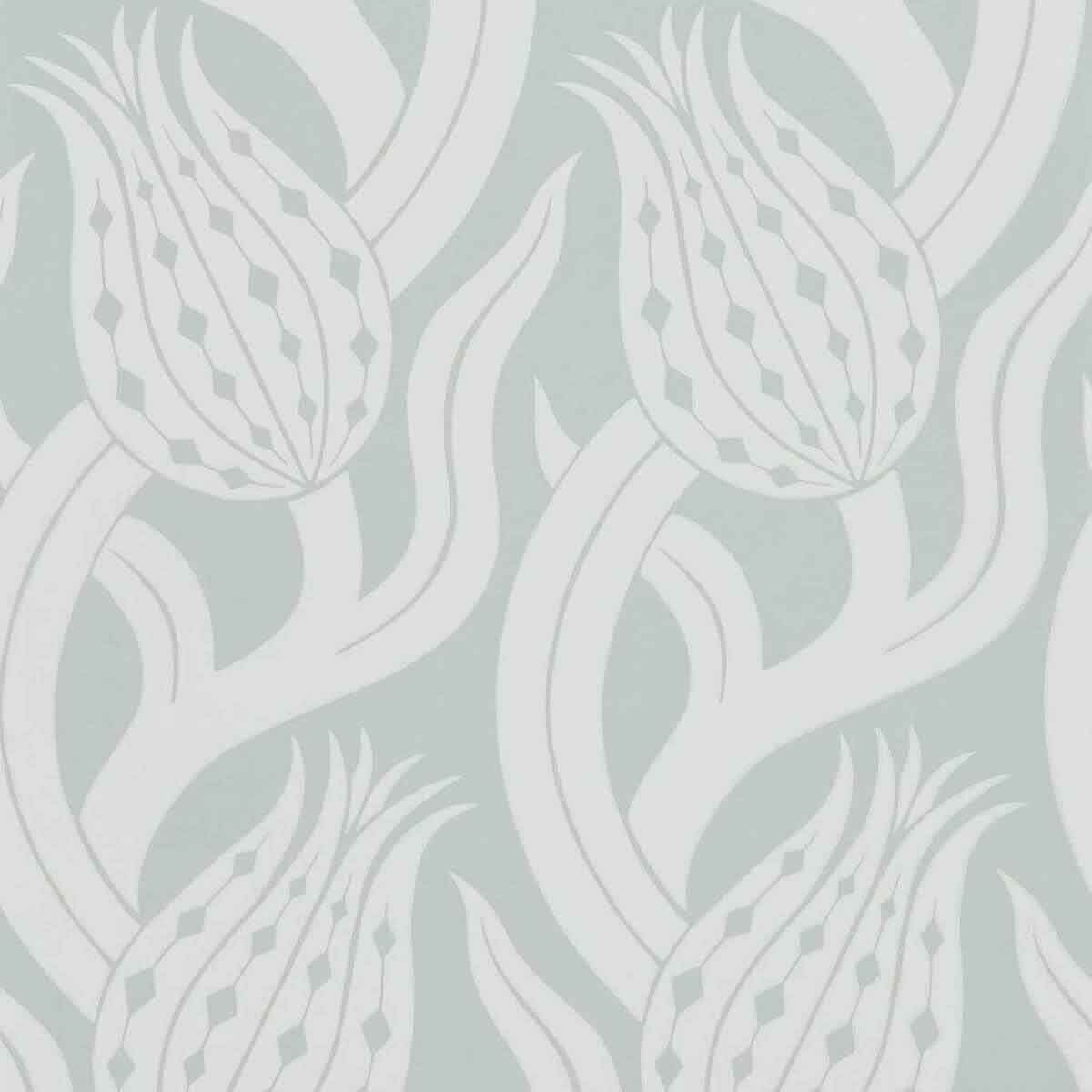 Persian Tulip 312995