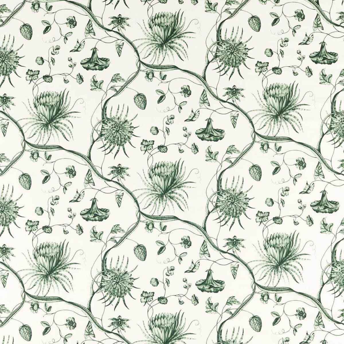 Phaedra Toile 322740