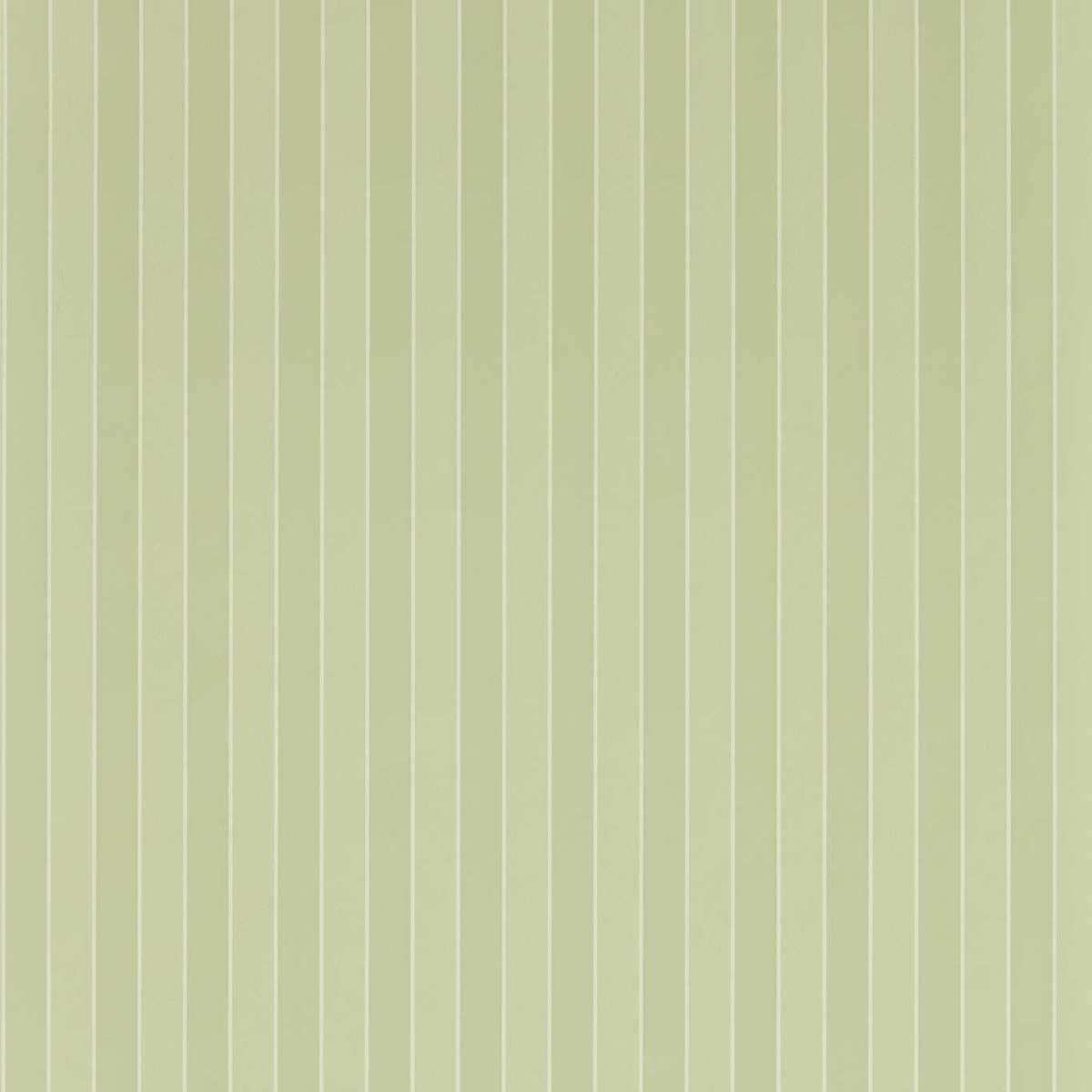 Semper Stripe 313110