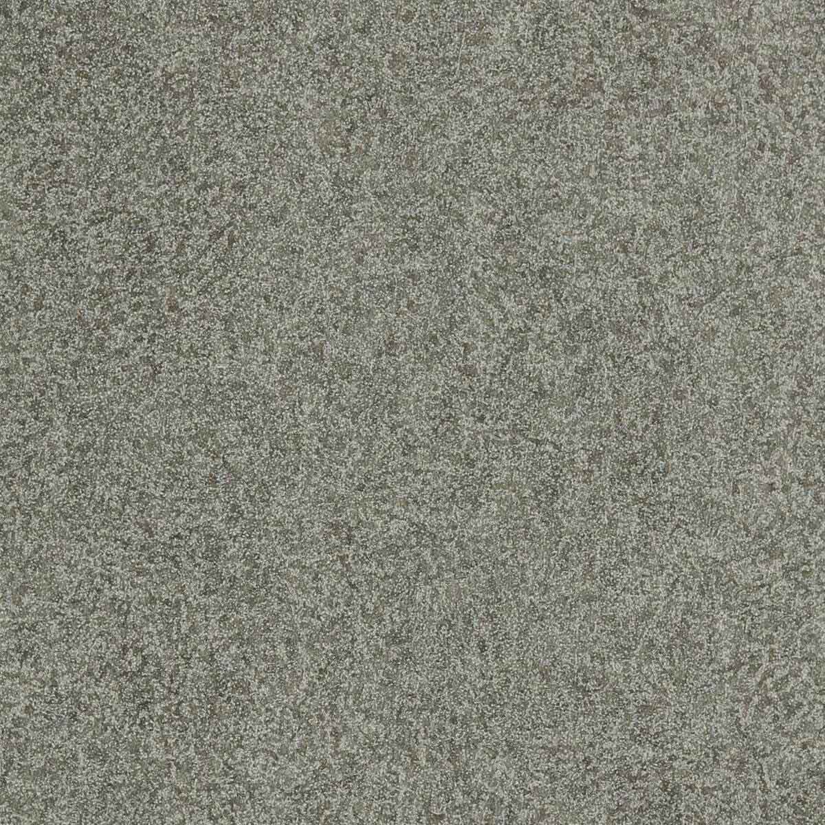 Shagreen 312907