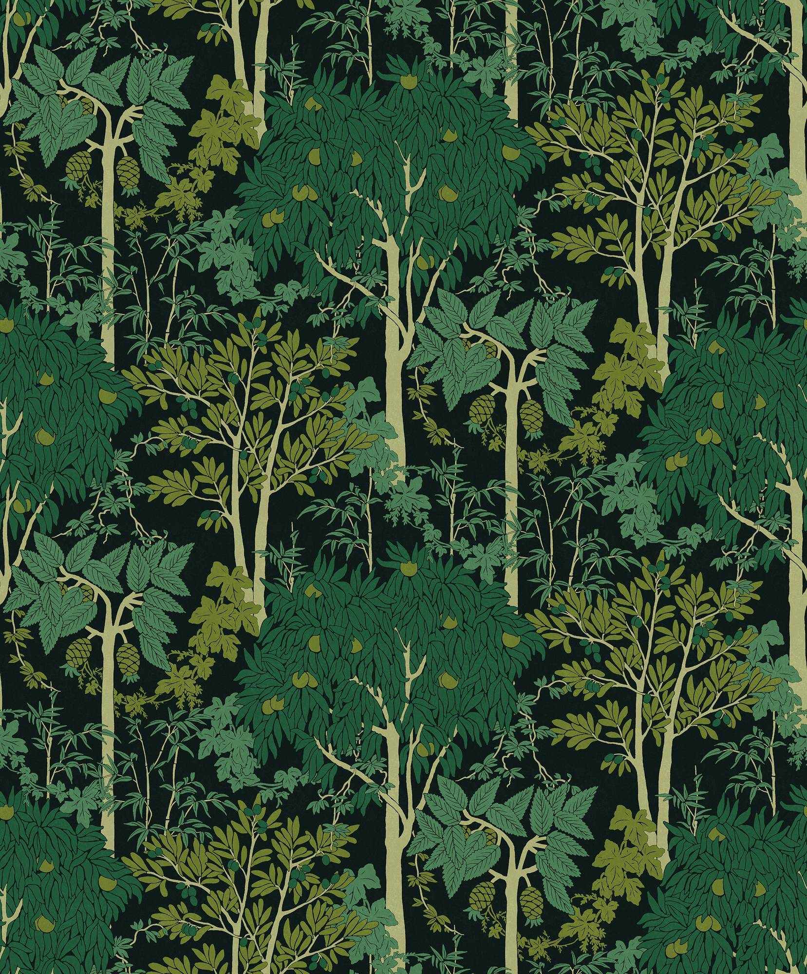 Amazone OLI203