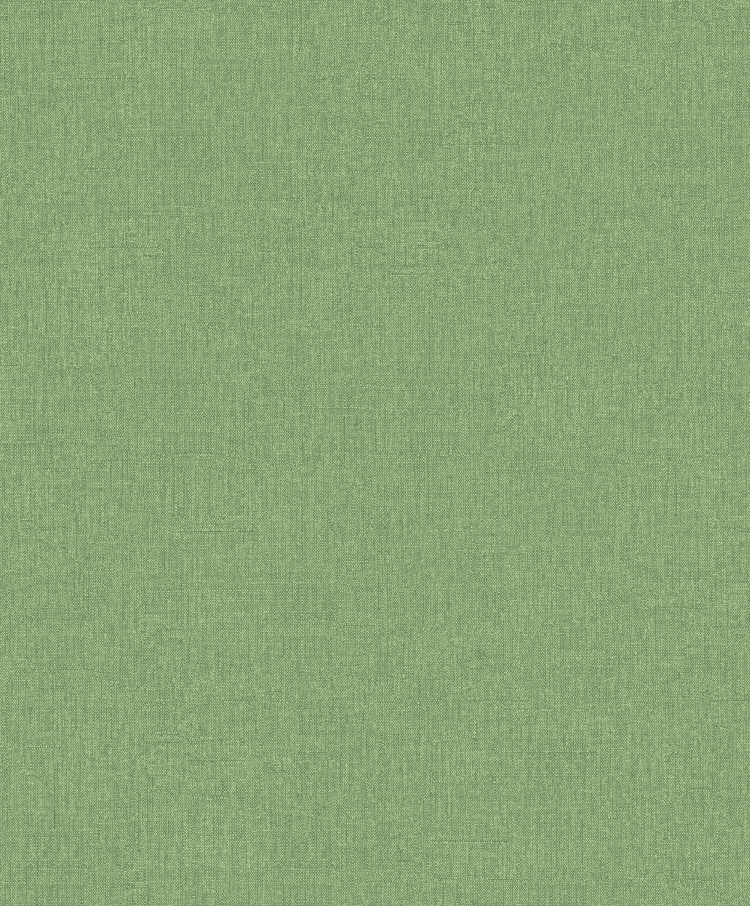 Gaio-Leto TAT706