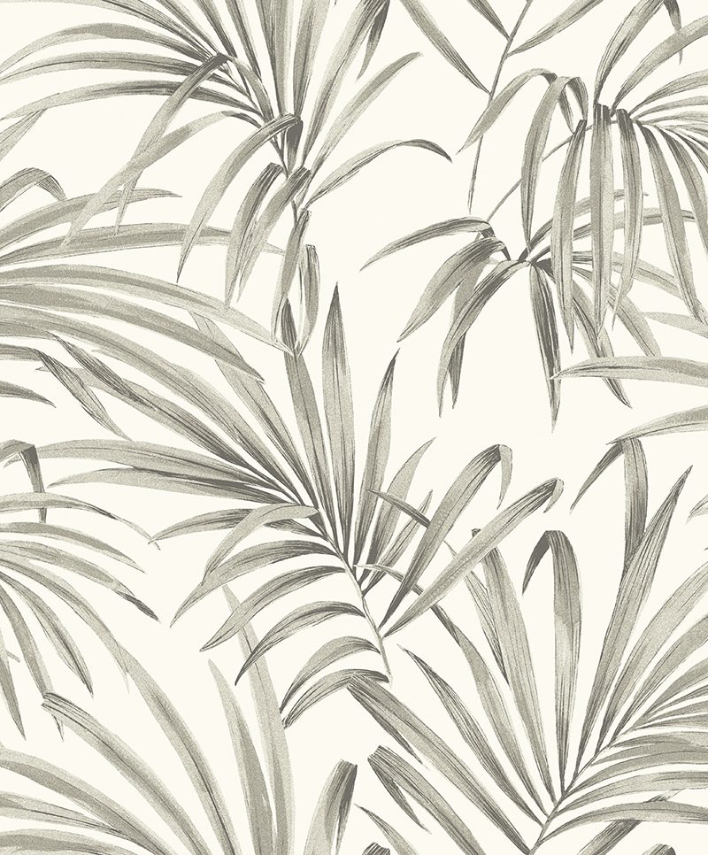 Palm LOT101