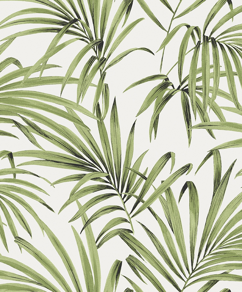 Palm LOT103