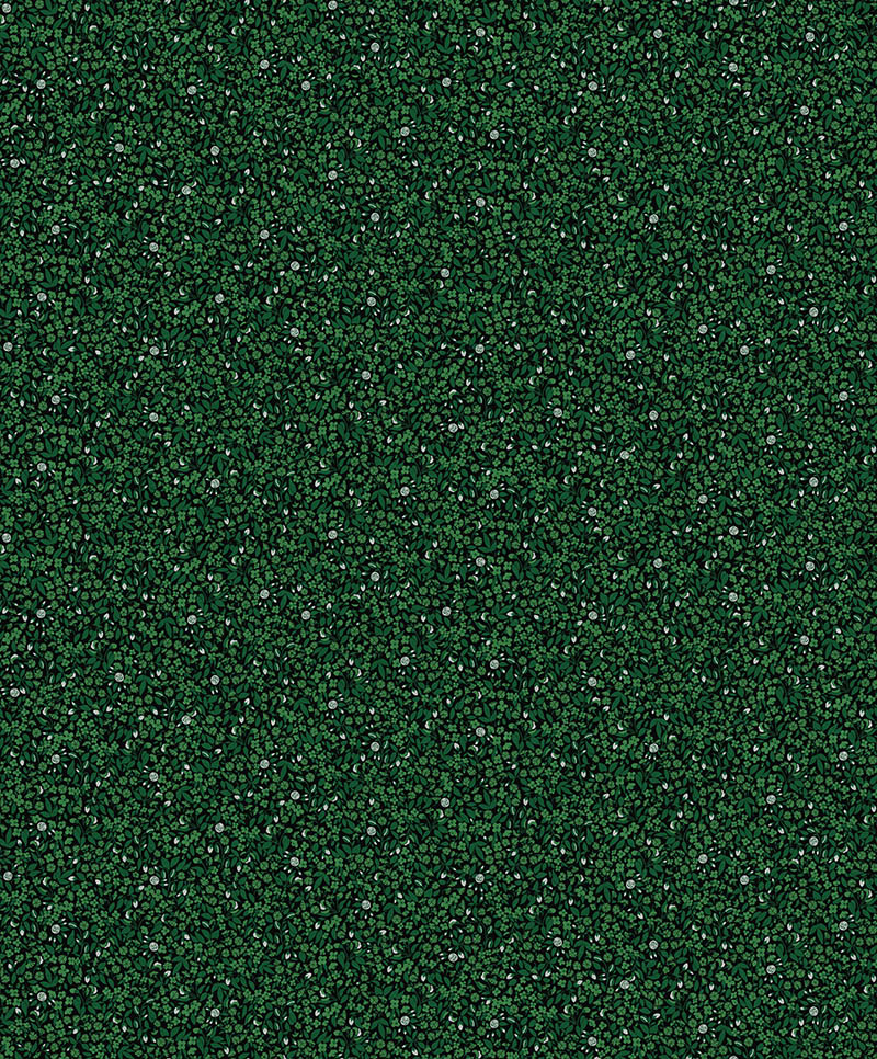 Wildflower OLI603