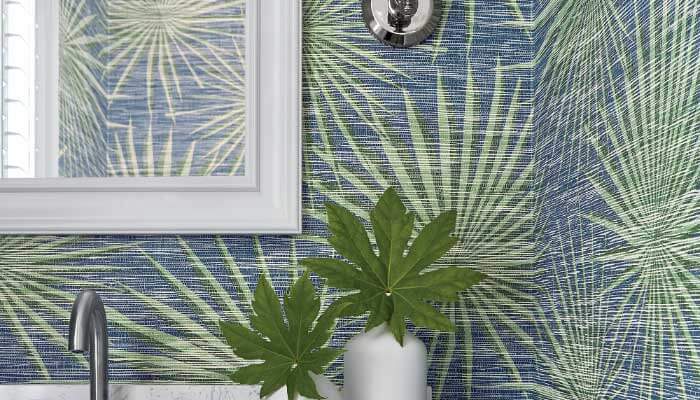 Tropics